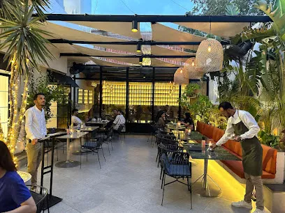 03012636546 - Karachi